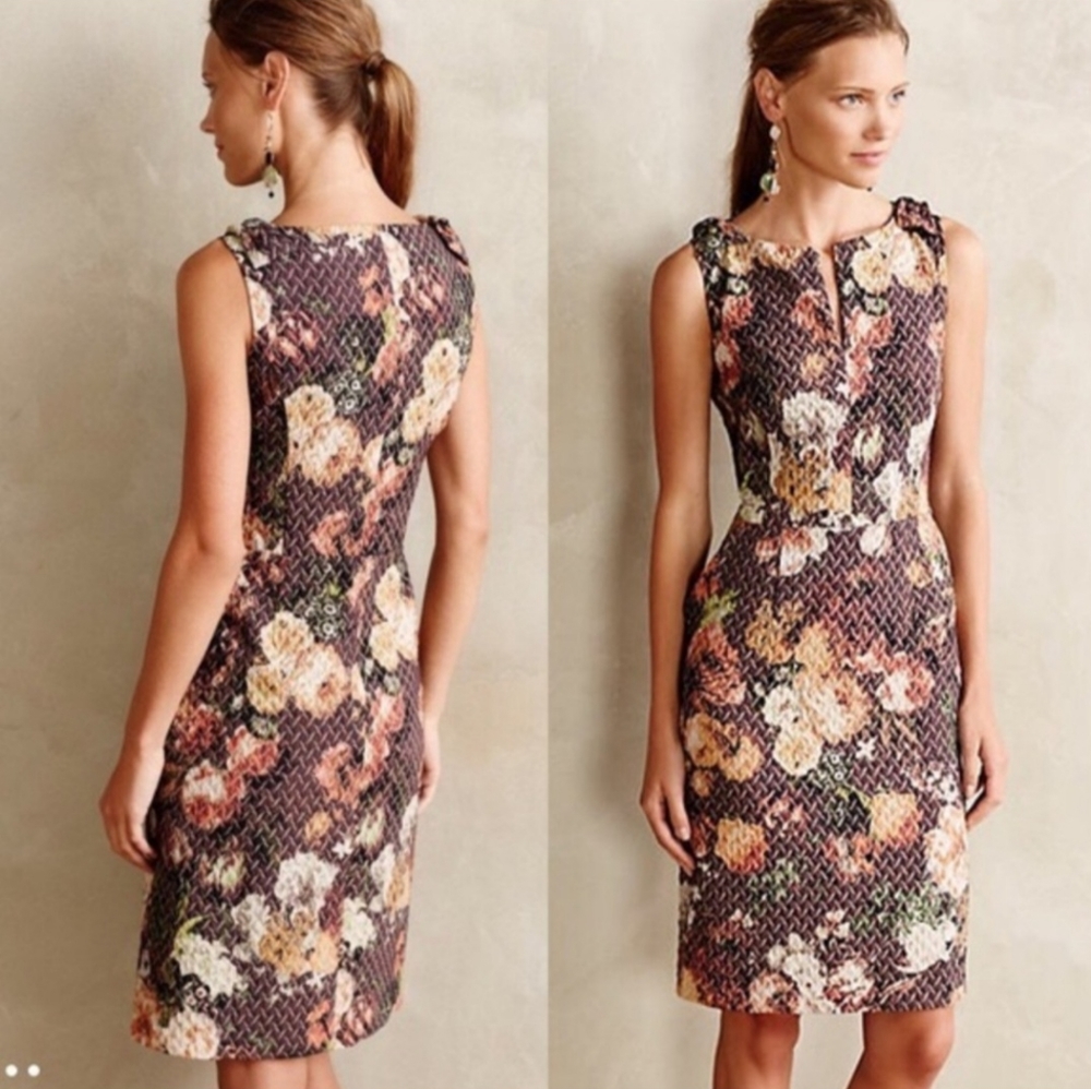 Anthropologie Tabitha Dress Size 4
